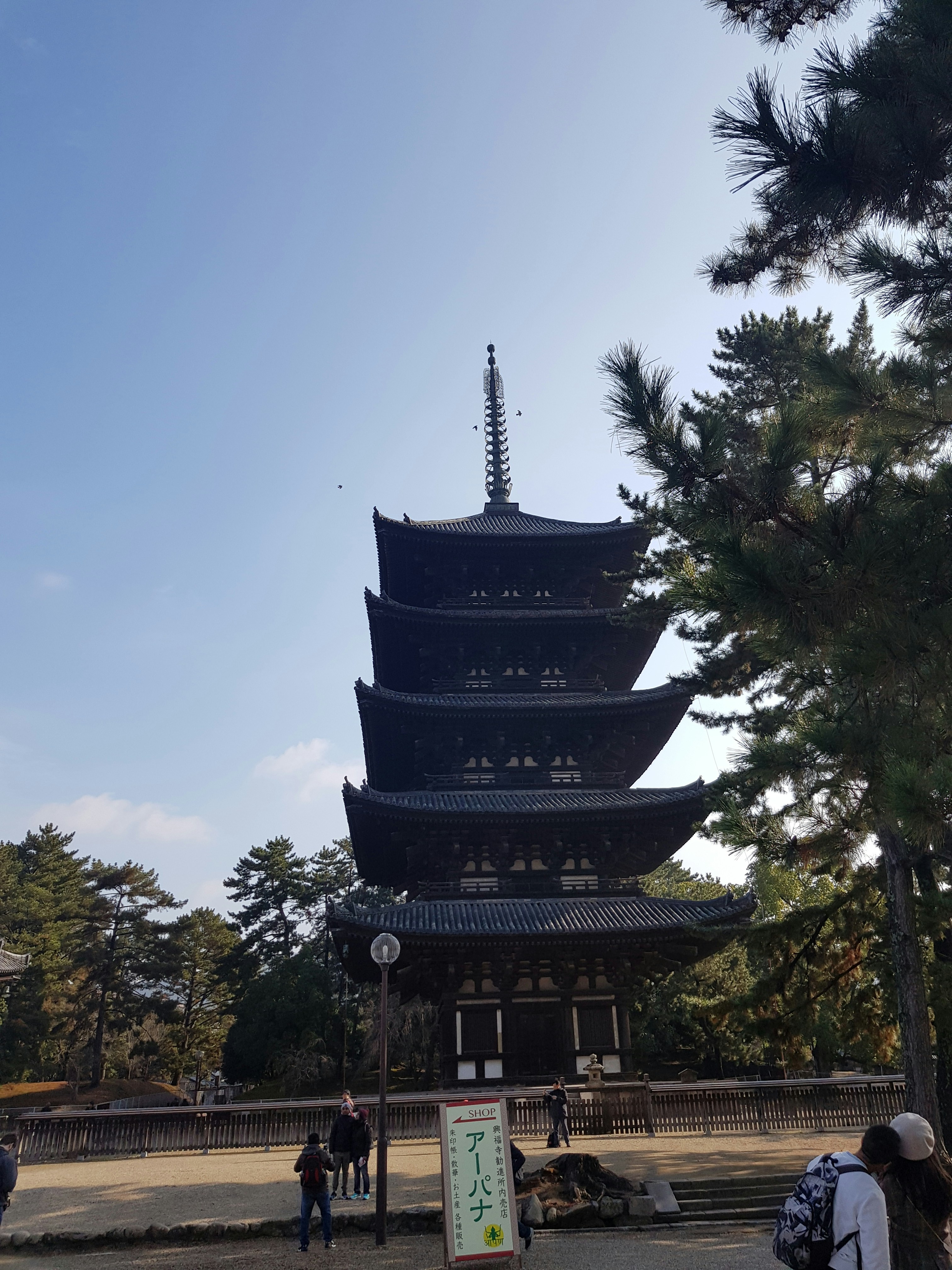 Image of the black five story pagoda in the complex of the golden temple in Nara, Japan